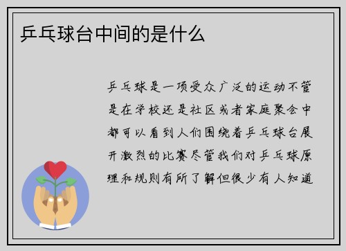 乒乓球台中间的是什么